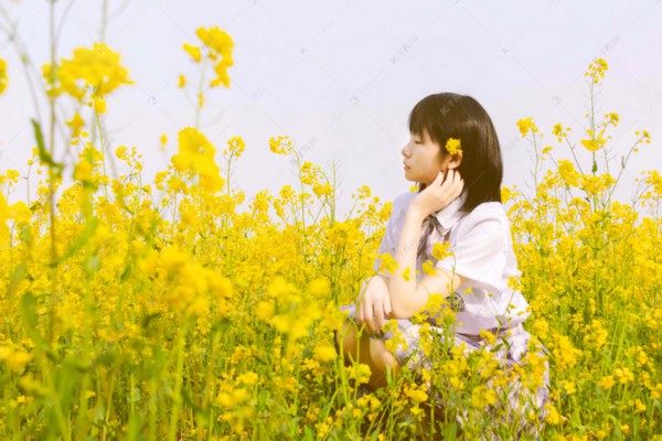 白茶养生秘籍：揭秘白茶如何促进健康生活